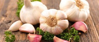 Garlic enhances the metabolic process.