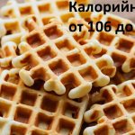 Diet waffles in a waffle iron. Recipes with photos 