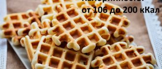Diet waffles in a waffle iron. Recipes with photos 