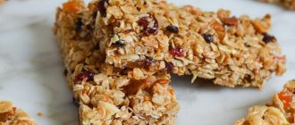 Homemade energy bars with a shelf life of 1 year - Last Day Club