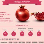 Pomegranate. Calorie content in 1 piece for weight loss, with and without seeds, bju 