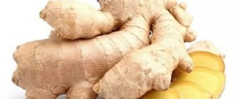 Ginger: health benefits and harms