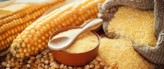 Corn grits. Benefits and harm to the body, calorie content, recipes, how to cook, what to cook 