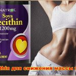 Lecithin for weight loss
