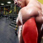 The best triceps exercises on a machine in the gym