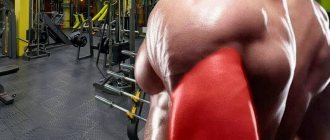 The best triceps exercises on a machine in the gym