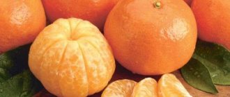tangerine diet