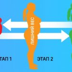 Метаболическая диета. Подробное описание, меню 1-2-3 этапа, рецепты, таблица баллов, фото до и после