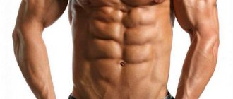 Abdominal muscles in a man