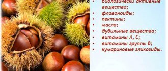 Nuts. Calorie content, nutritional table per 100 grams 