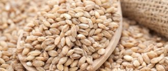 Barley for weight loss