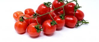 Is it good to eat a tomato at night?