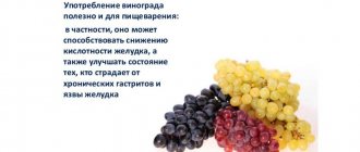 Useful properties of grapes