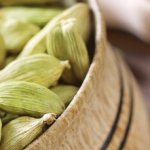 Uses of cardamom for weight loss
