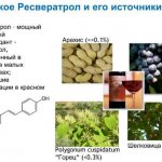 What foods contain resveratrol?