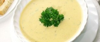 White cabbage puree soup