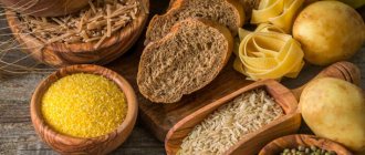 What foods contain carbohydrates