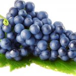 grape juice with creatine