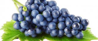 grape juice with creatine