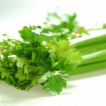 All features of the celery diet