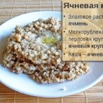 Barley porridge. Health benefits and harms, calorie content, how to cook 