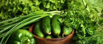 Green vegetables. What are they, list, benefits for weight loss, calorie content 